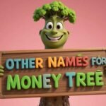 other names for money tree